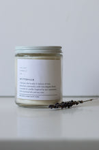 Load image into Gallery viewer, STITTSVILLE