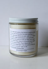 Load image into Gallery viewer, THE ANNEX